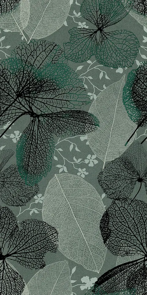 BASIL DECORE view 1
